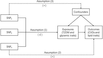 Causal Association of Type 2 Diabetes Mellitus and Glycemic Traits With Cardiovascular Diseases and Lipid Traits: A Mendelian Randomization Study